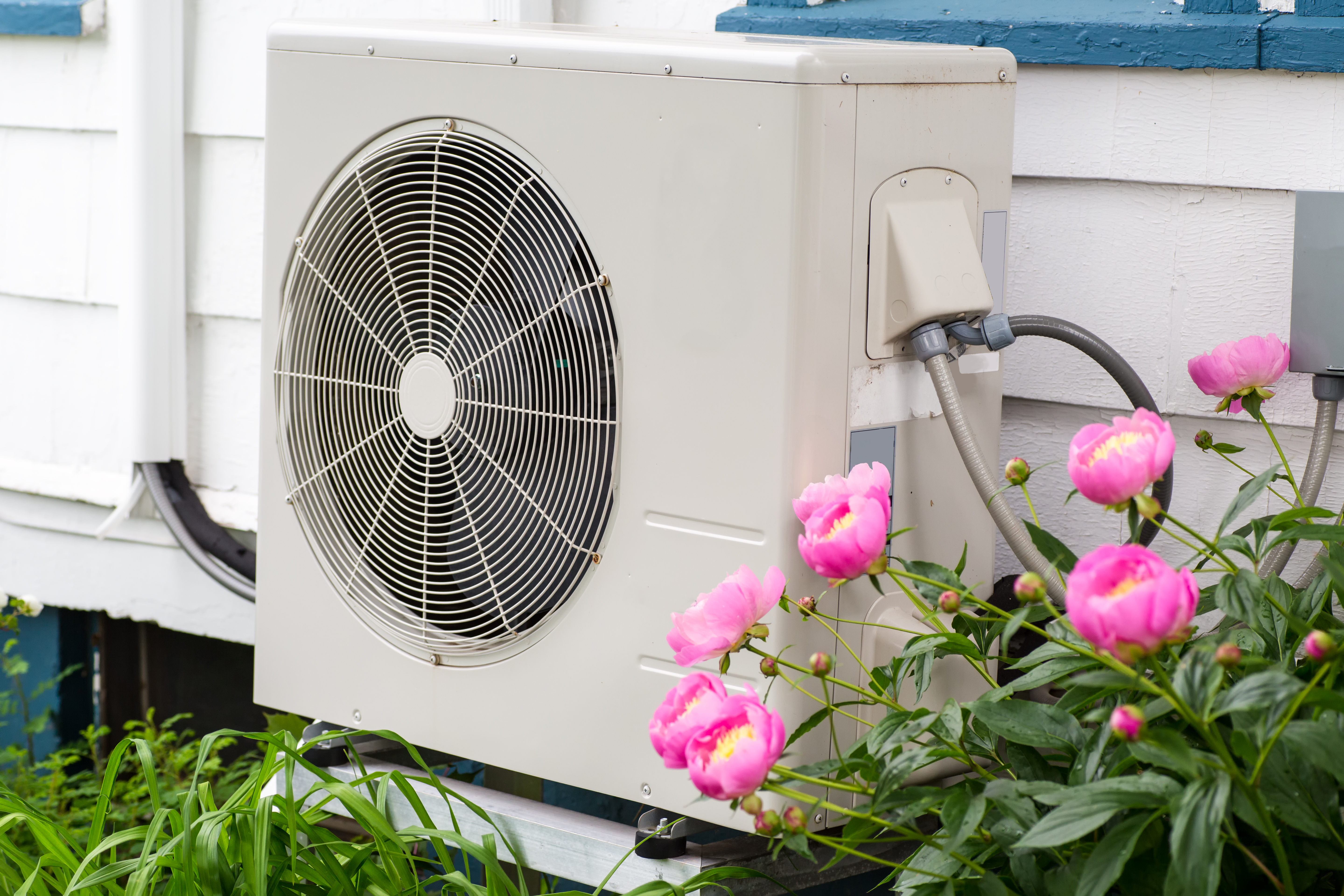 an external heat pump surrounded by pink flowers