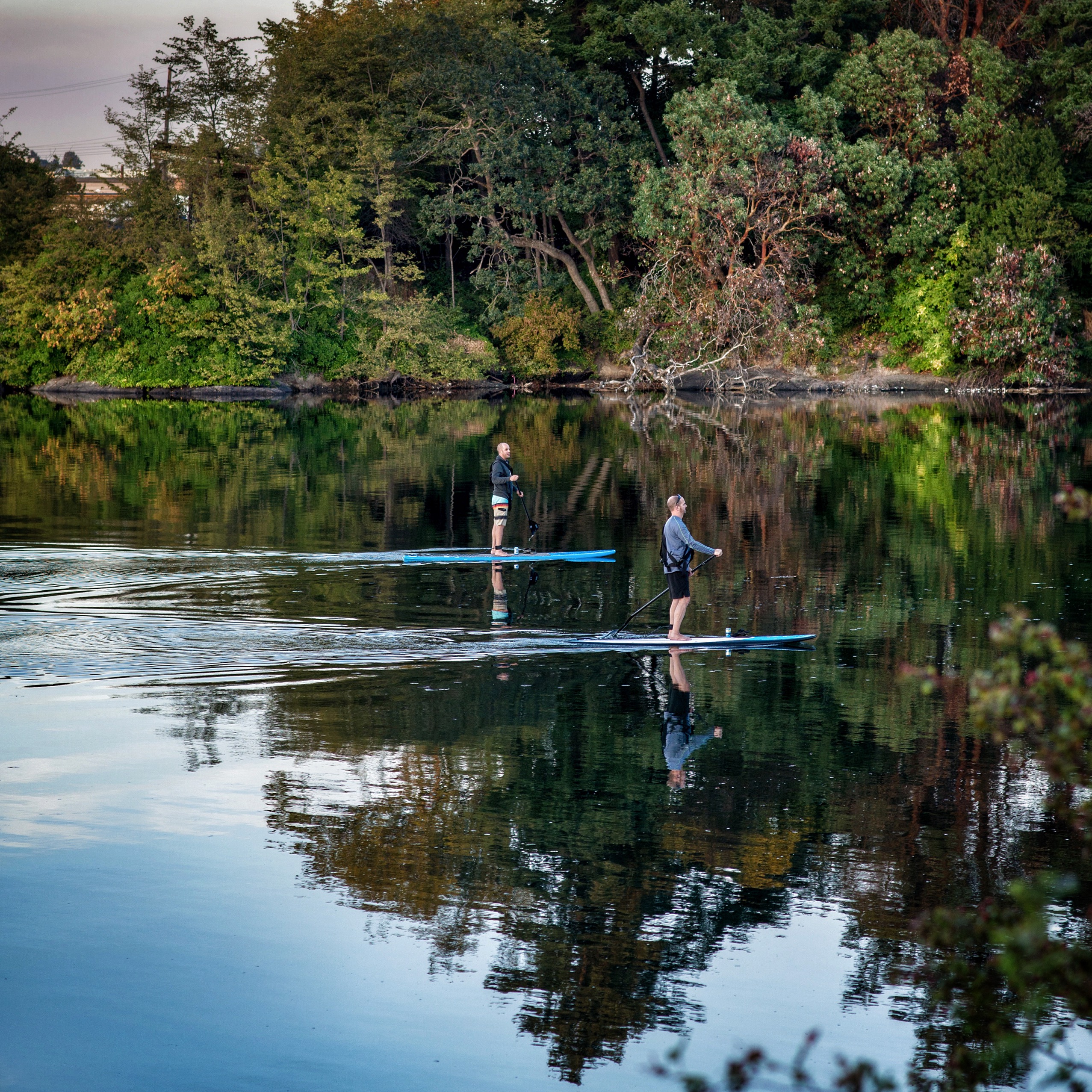 two people standing on paddle boards on a calm lake