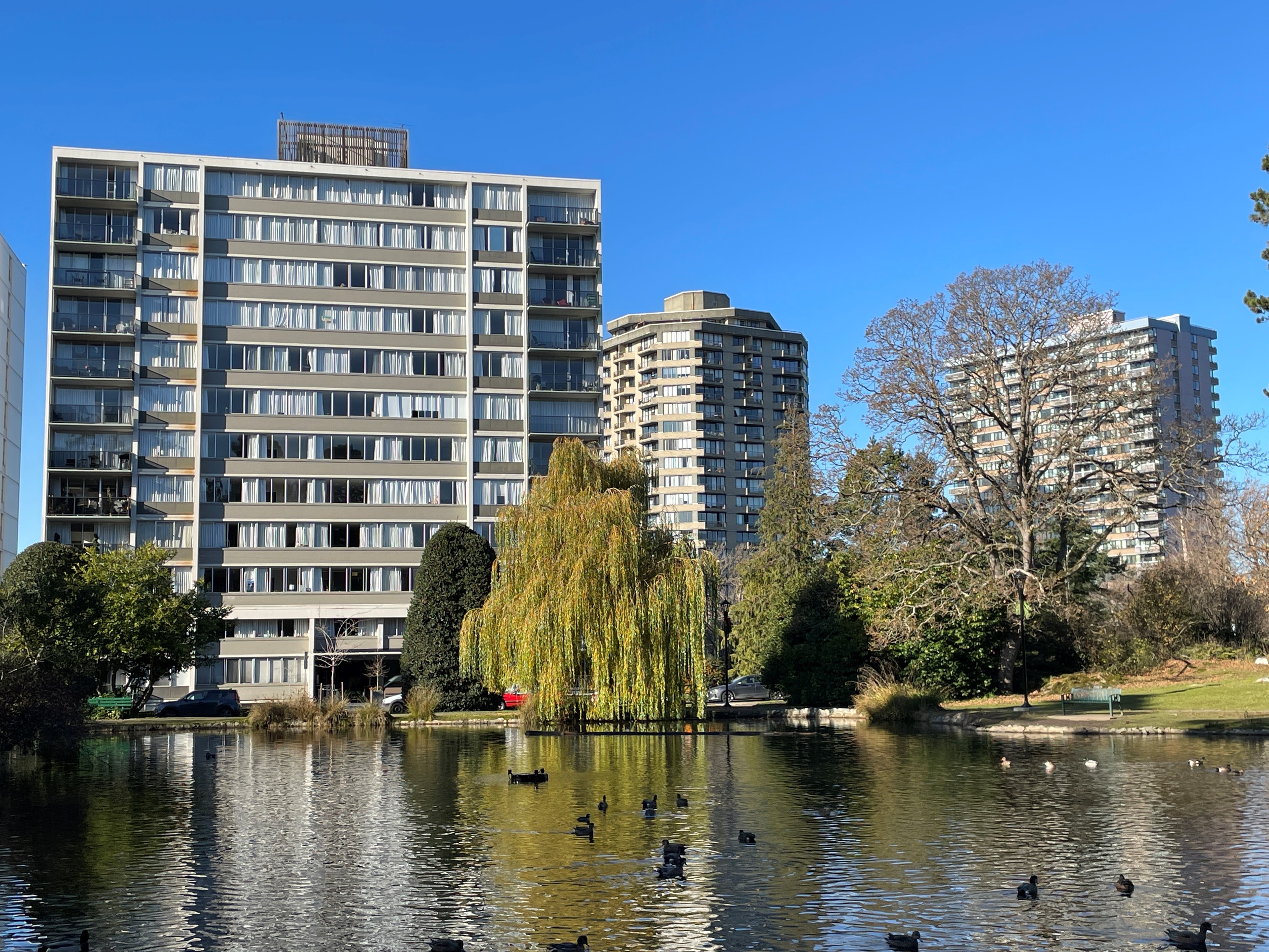 an waterfront apartment building with ducks and weeping willow