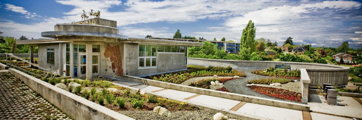 a roof with various plants