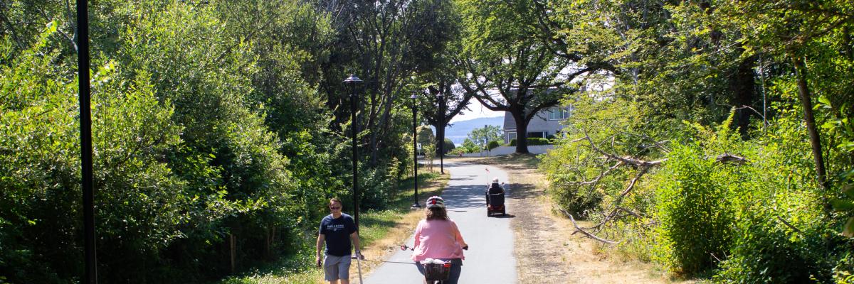 cyclist on a city path with trees and greenery 