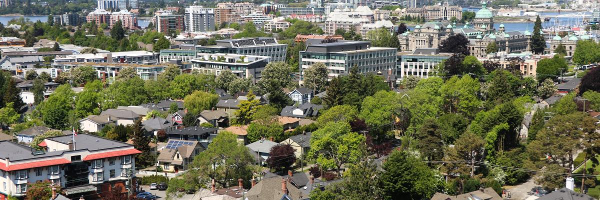 arial view of victoria with trees and houses