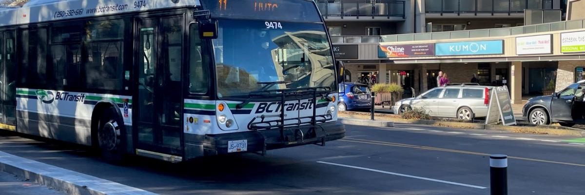 city bus driving in front of a 