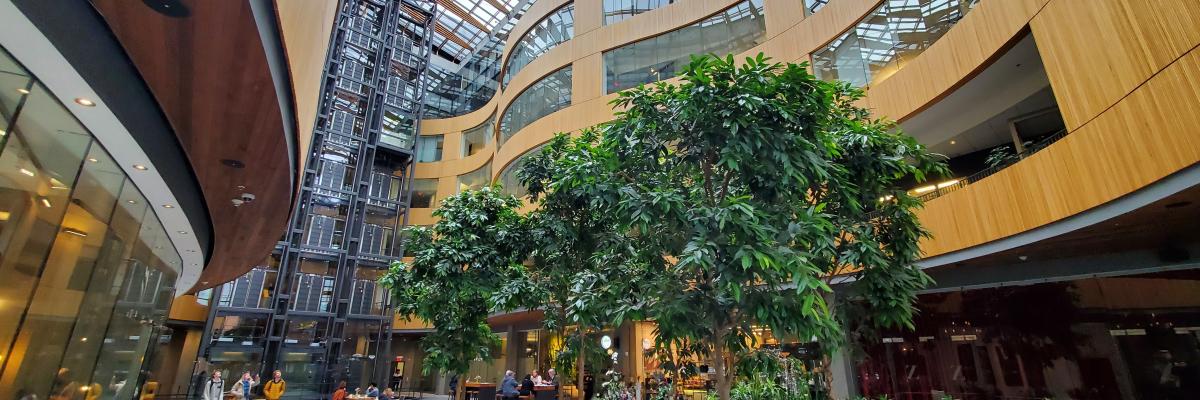 a building interior with a lot of trees