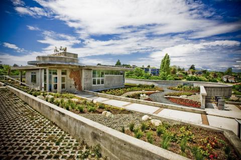 a roof with various plants