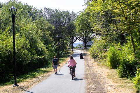 cyclist on a city path with trees and greenery 