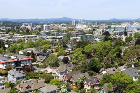arial view of victoria with trees and houses