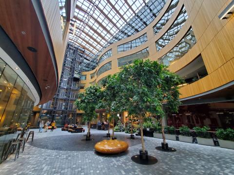 a building interior with a lot of trees